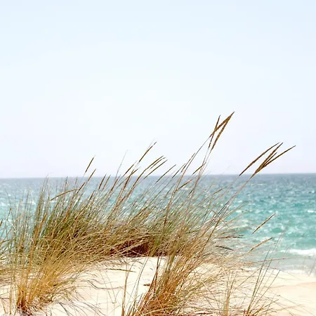 홈스테이 Sukha Surf