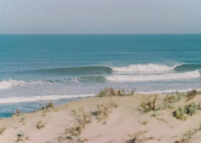 Sukha Surf ليت إت ميكسي