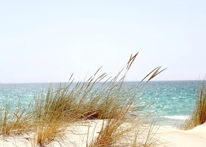 منزل للإقامة Sukha Surf