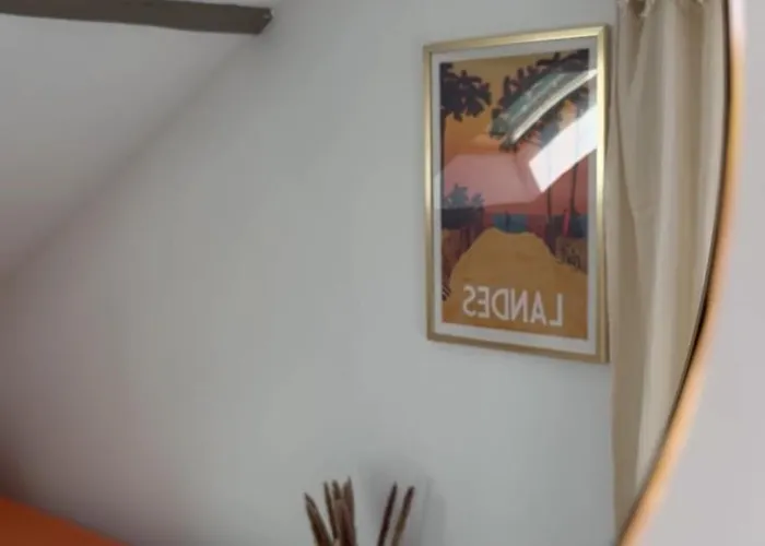 Sukha Surf * ليت إت ميكسي